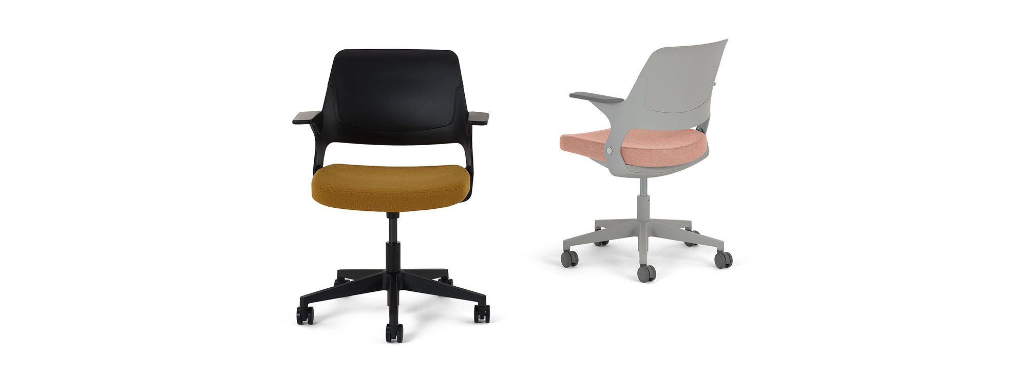 Ollo with Shell Back